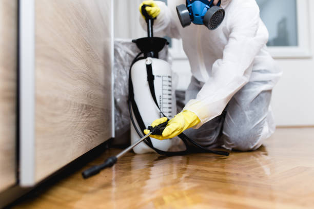 Best Wildlife Control Services  in Chino, CA