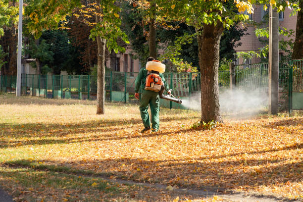 Reliable Chino, CA Pest Control Solutions