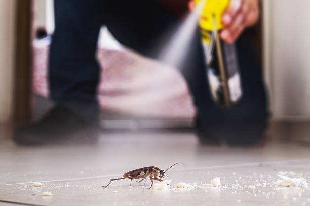 Best Pest Control Near Me  in Chino, CA